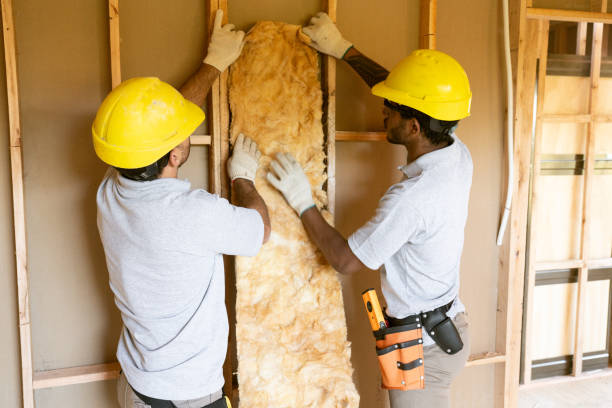 Best Insulation Replacement Services  in Sulligent, AL