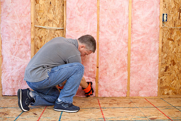 Best Affordable Insulation Services  in Sulligent, AL