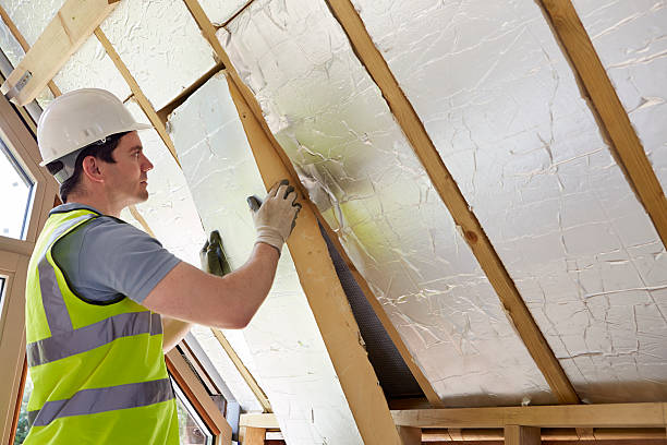 Best Blown-in Insulation  in Sulligent, AL