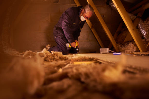 Best Soundproof Insulation Installation  in Sulligent, AL
